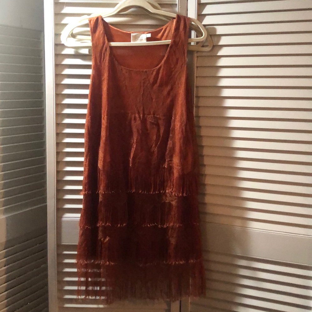 Lush fringe dress
